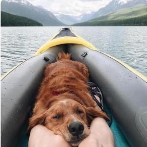 Meet your Posher, Maggie